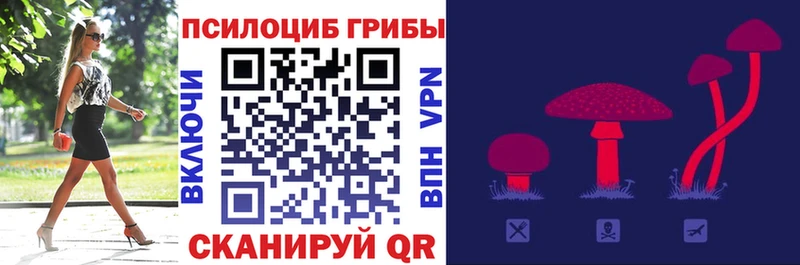 Галлюциногенные грибы Psilocybine cubensis  магазин продажи   Калачинск 