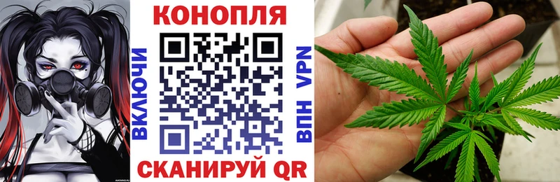 blacksprut вход  купить наркотик  Калачинск  Канабис индика 